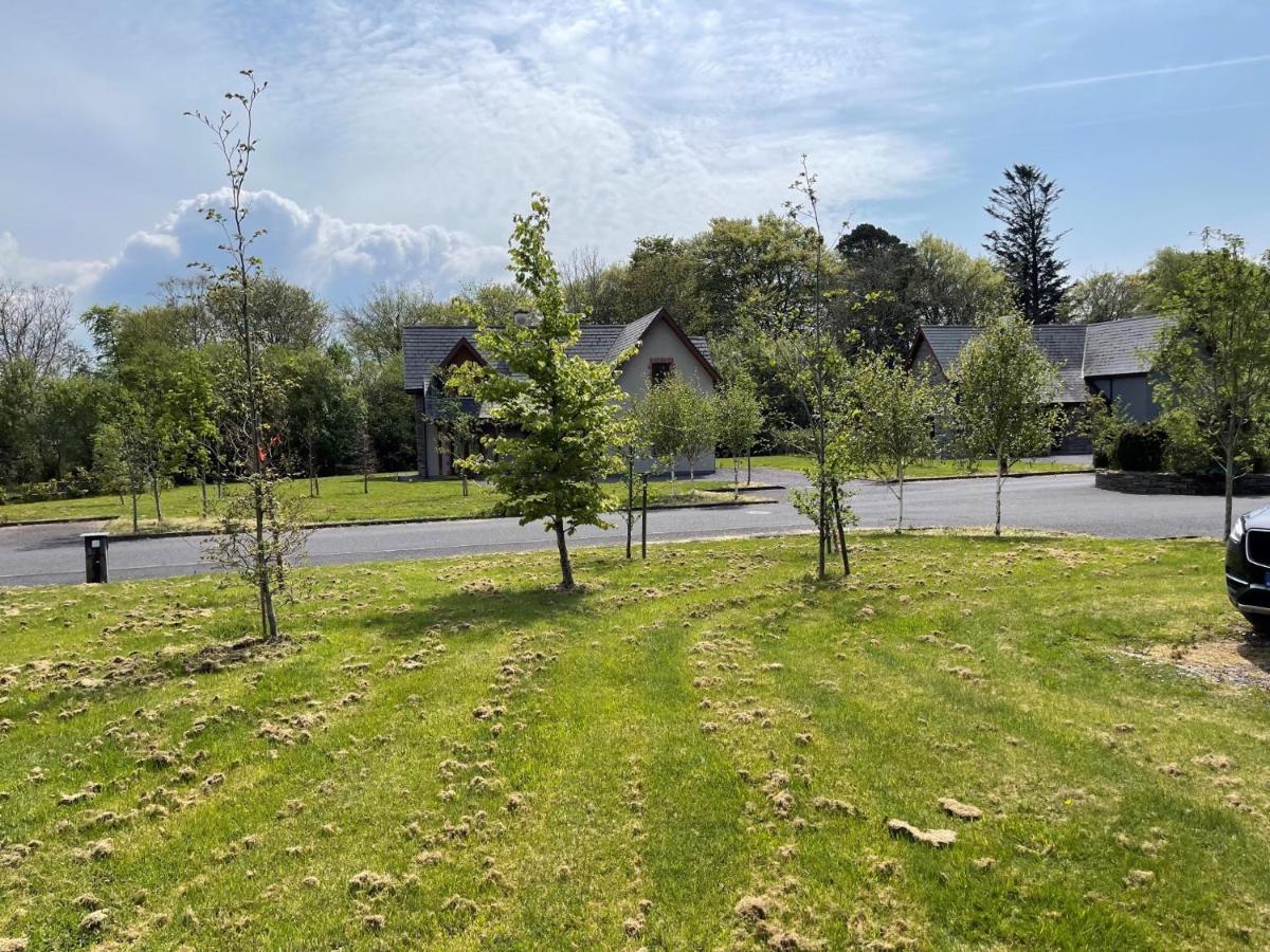 No 2 Ardnagashel Woods Villa Ballylickey Exterior foto